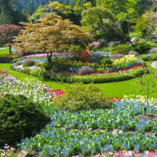 Canada’s Pacific Coast Gardens and Natural Wonders Deposit Payment