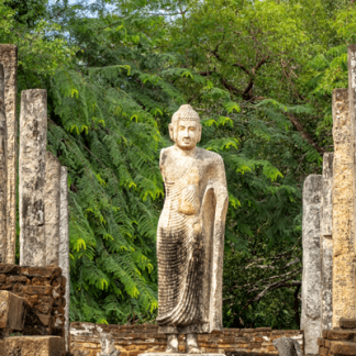 The Wonders of Sri Lanka: From Highlands to Coast with Liz Bishop