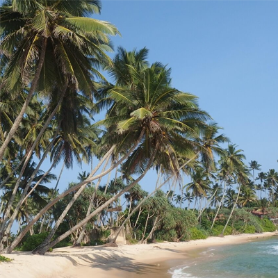The Wonders of Sri Lanka: From Highlands to Coast with Liz Bishop - Image 2