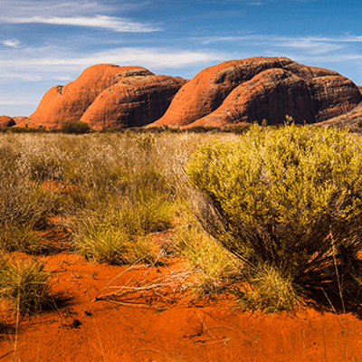 Deposit for Australasian Quilt Convention 2027 + Uluru & Port Douglas Extension - Image 6